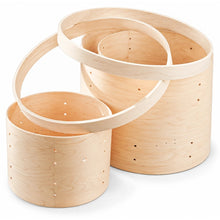Model 1 Birch