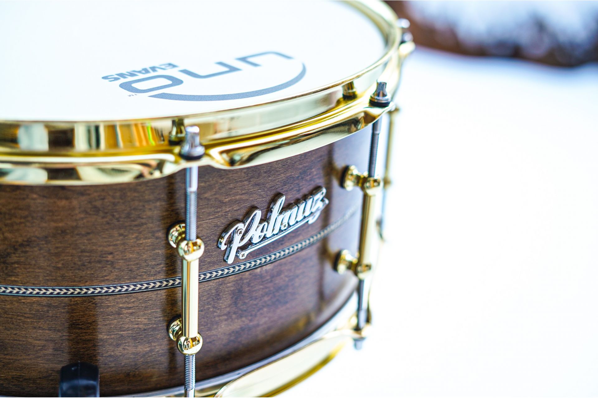 Polmuz model 1 Maple 14x6,5 Snare Inlayed satin brown w gold hardware PL — zdjęcie 9